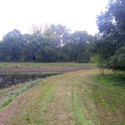 Boisement Ille et vilaine